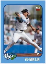 2023 Yu-Min Lin  Minor League Rookie Card Custom Hillsboro Hops Diamondbacks