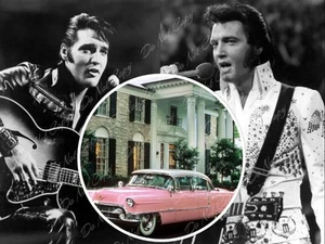 Elvis Presley Photo Sexy Pink Cadillac Singer Original Collage Limited Rare 8x10 - Picture 1 of 1