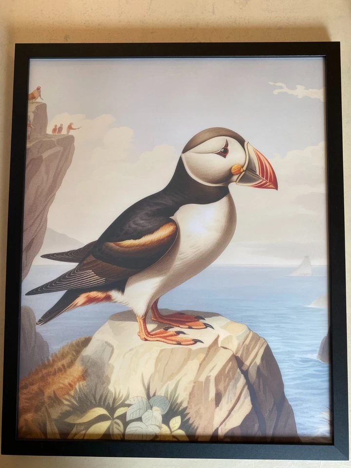 Impressão artística emoldurada Puffin 16" x 20" - Ótimo! - Imagem 1 de 2