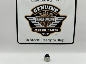 Harley-Davidson 7594 Lock Nut 5/16”-18 – nylon cap, luggage Rack – FLT - Picture 1 of 3
