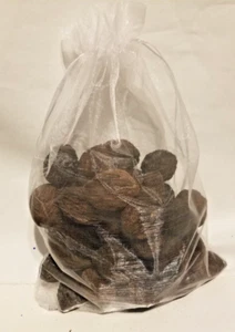Clearance Sale 50 Georgia Black Walnuts /Bag - Picture 1 of 1