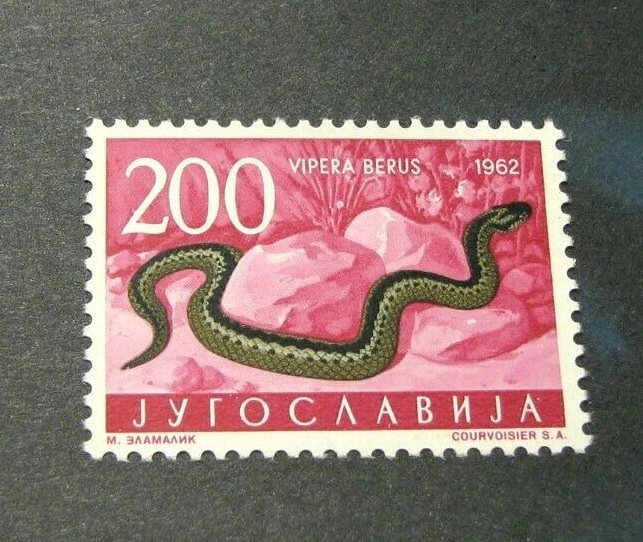 Estampillas de las Islas Salomón Scott# 671 víbora europea MNH 1962 L388 Foto 1 de 1