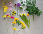 15 künstliche Blumen, Tulpen, Sonnenblumen, Orchideen, verschiedene Farben