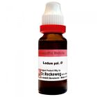Dr. Reckeweg Ledum Pal Mother Tincture Q Homeopathy Medicines 20ml