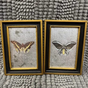 Vintage - Set of 2 - Foil Faux Butterfly - Framed Art - Picture 1 of 8