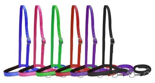 Showman Premium Nylon Noseband Tie Down w/ Strap