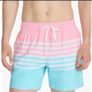 New Mens XX-Large Chubbies On The Horizons 5.5" Swim Trunks Pink Blue Stripe XXL - Picture 1 of 7