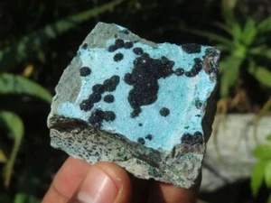 Especímenes naturales de crisocola recubiertos de druso con malaquita fibrosa cristalina - Imagen 1 de 12