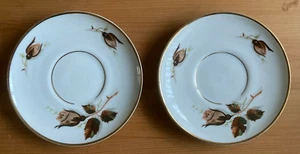 WALBRZYCH POLAND BROWN ROSES DESIGN 2 x SAUCERS (13.5cm) - Picture 1 of 3