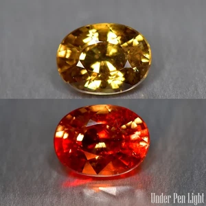 1.09Ct Wonderful Cut_100% Natural Color Change Garnet_Tanzania - Picture 1 of 1