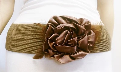 Fashion Women Brown Wide Elastic Belt Satin Flower & Feathers S M L XL - Image 1 of 4