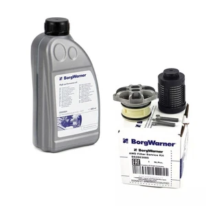 BorgWarner Hydraulic Filter Haldex Coupling Oil For VW Golf 5 6 Passat B7 - Picture 1 of 8