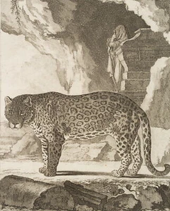 BAQUOY (*1721) nach SÈVE (*1742), Darstellung eines Leopards, um 1770, KSt. - Bild 1 von 5