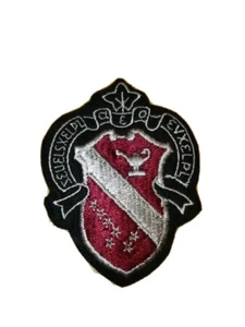 Alpha Phi Blazer Embroidered Crest Patch Badge w/ Butterfly Clutch RARE - Picture 1 of 2