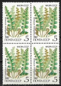 RUSSIA,USSR:1987 SC#5573 MNH block of 4 Ferns - Picture 1 of 2