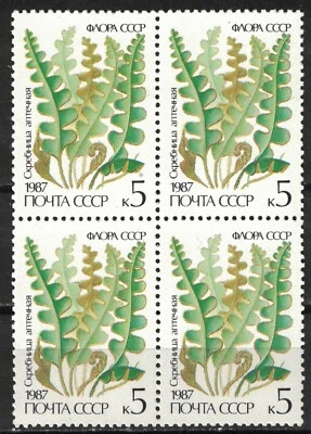 RUSSIA,USSR:1987 SC#5573 MNH block of 4 Ferns - Image 1 of 2