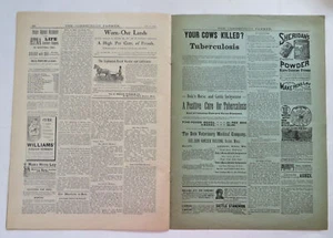 Connecticut Farmer American Agriculture Periodical 1895 Complete Issue Ads - Bild 1 von 10