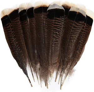 THARAHT 24Pcs Natural Wild Turkey Tails Feathers Quill Bulk 8-10Inch 20-25Cm - Picture 1 of 12
