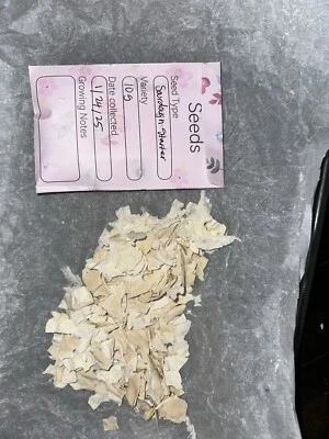 Sourdough Starter 10 G  2 Pack Foto 1 de 4