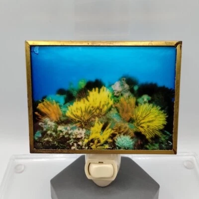 Framed Ocean Sea Coral Picture Night Light Plug In Nautical Coastal Beach Decor  - Image 1 of 4