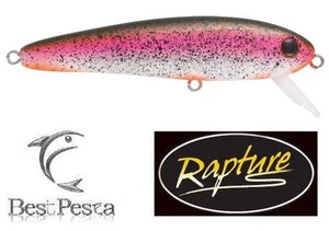RAPTURE - SUPER DEXTER 11cm 32gr IR - Sinking - Imagen 1 de 1