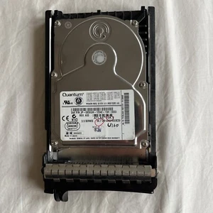 Festplatte Dell 080XUH TY36J461 36GB 10K 8MB SCSI U160 3,5'' - Bild 1 von 1