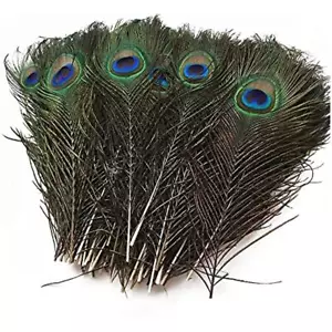 Pack De 15 Plumes De Paon Naturel Plumes Paon Décoration Paon Art Naturel Plumes - Picture 1 of 5