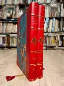 القانون في الطب ابن سينا Set 2 Reprint Manuskript Ibn Sina Kanon der Medizin - Bild 1 von 21