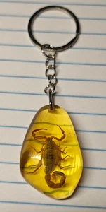 Scorpion in Amber Resin Keychain Unique - Picture 1 of 6