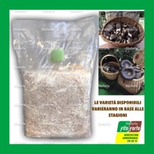 SUBSTRATO PER COLTIVAZIONE DI FUNGHI PANI BALLETTA KIT CARDONCELLI BALLETTE