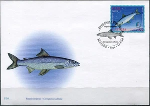 Latvia 2023. Vendace (Coregonus albula) (Mint) First Day Cover - Picture 1 of 1
