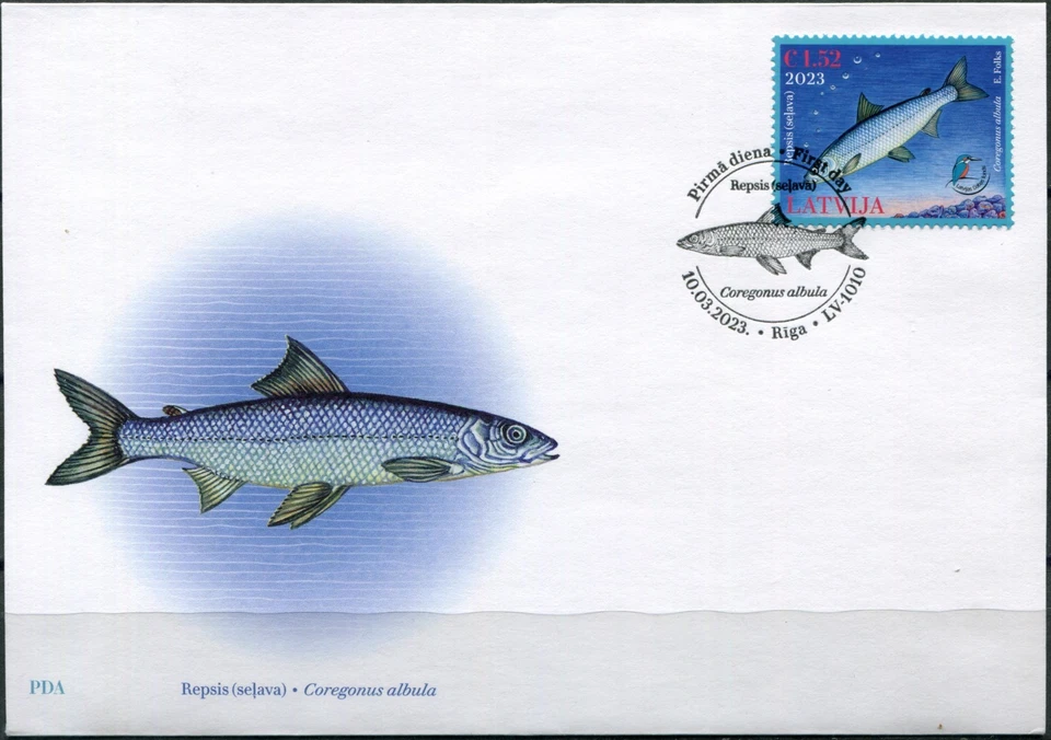 Latvia 2023. Vendace (Coregonus albula) (Mint) First Day Cover - Image 1 of 1