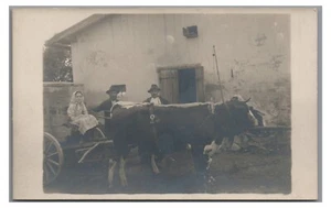 RPPC Cow Ox Drawn Cart Eastern Europe European Village Real Photo Postcard - Picture 1 of 2