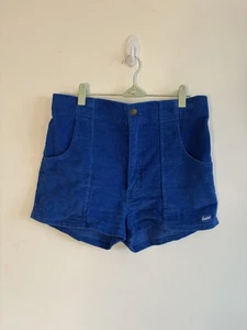Hammies Blues Corduroy Shorts Women’s Size 32 - Picture 1 of 2