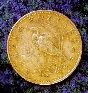 Hungary 5 Forint 1995 BP "Great White Egret" Brass Uncleaned 'Nice Details' - Picture 1 of 2