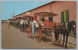Nassau In The Bahamas, Old Carriages In Line For Sightseeing Tourists, VTG PC. - Picture 1 of 2