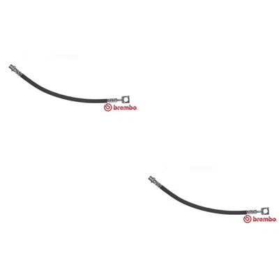 2x BREMBO Freno Trasero Izquierda Derecha para Opel Vectra C Caravan Z02 2.8 V6 - Imagen 1 de 2