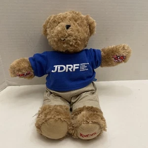 Rufus The Bear With Diabetes JDRF 14" Plush Medical Advertising Brown Teddy - Picture 1 of 8