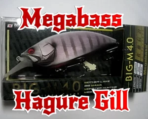 WoW  !!!!  Rare Megabass Big-M 4.0 Giant Killer Crankbait - HAGURE GILL (SP-C) - Picture 1 of 12