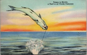 Tarpon in Mid-air a thrill to all Fisherman FLORIDA LINEN POSTCARD D15 - Picture 1 of 2