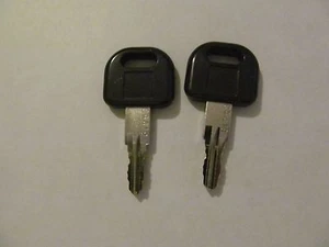 2 Keys CW419 FIC Entry Door Lock Handle Knob Deadbolt RV Motorhome Trailer Key - Picture 1 of 1
