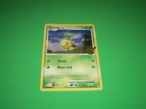 GCC Pokemon celebrazioni carta Turtwig oversize da collezione - Foto 1 di 3