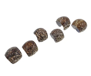 Set of 6 Spotted Tiger Cowrie Shell Napkin Rings Leopard Like Markings - Foto 1 di 7