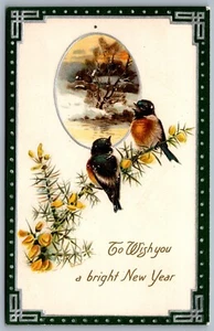 Postcard c1910s To Wish You a Bright New Years Pair of Robins Winsch Back Unused - Bild 1 von 2