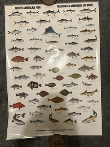 6 Vintage Scandinavian Denmark Fishing Year Book Posters sea crabs fish shrimp - Picture 1 of 22