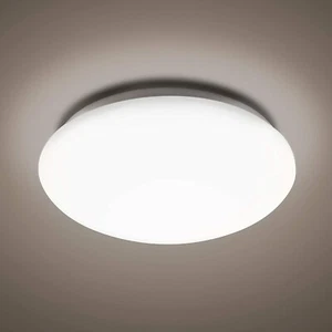 LED Bulkhead Lights 24W Large Frosted Flush Ceiling Wall Dome IP44 Bathroom Lamp - Picture 1 of 9