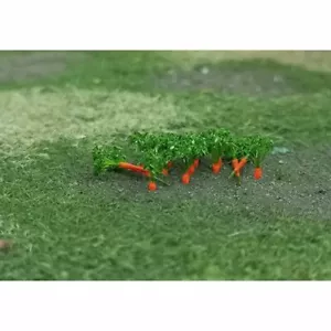 N gauge Carrot Plants (16) Tasma TP01039-TAS074341 - Picture 1 of 1