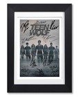 TEEN WOLF CAST SIGNED MTV TV SHOW SERIES SEASON POSTER PHOTO AUTOGRAPH GIFT