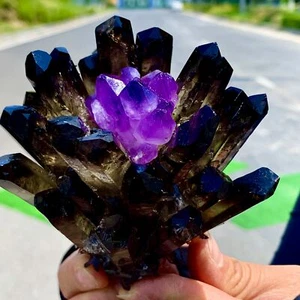1.18LB New Find black Phantom Quartz with amethyst Crystal Cluster Mineral - Imagen 1 de 21
