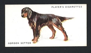 GORDON SETTER PLAYERS 1931 ISSUE FULL LENGTH DOGS OLD DOG CIGARETTE CARD #30 - Picture 1 of 2